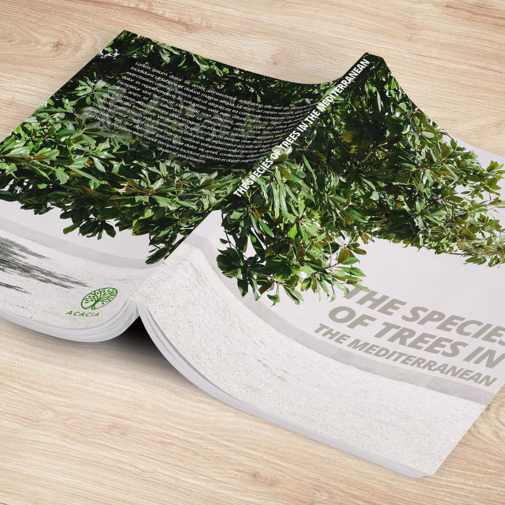 Perfect Bound Brochures - Image 3